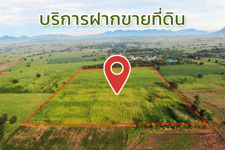 บริการฝากขายที่ดิน/อสังหา